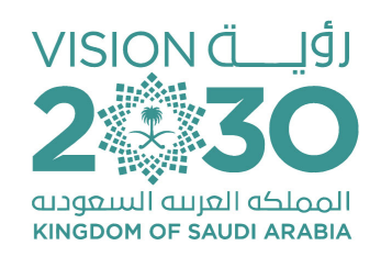 NISHAS PARTNERS Vision